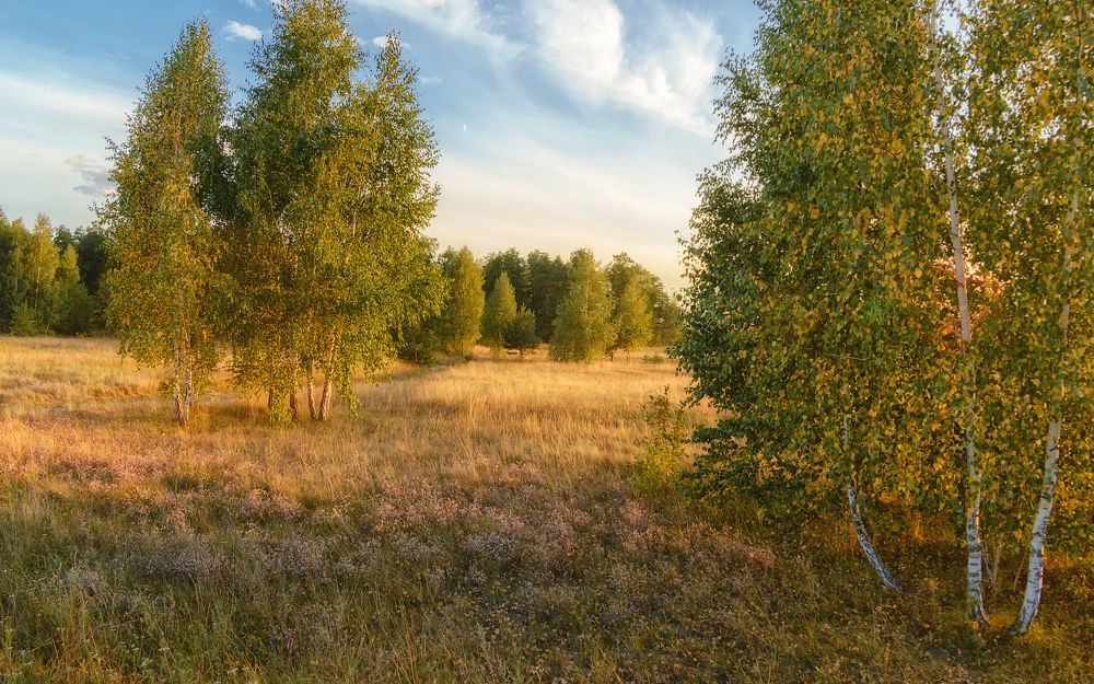 Photograph by Сергей Дишук