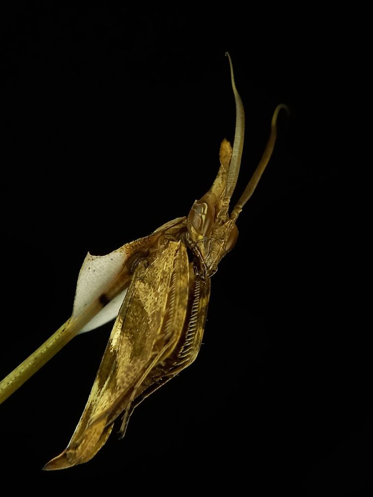 Photograph by syed aamir