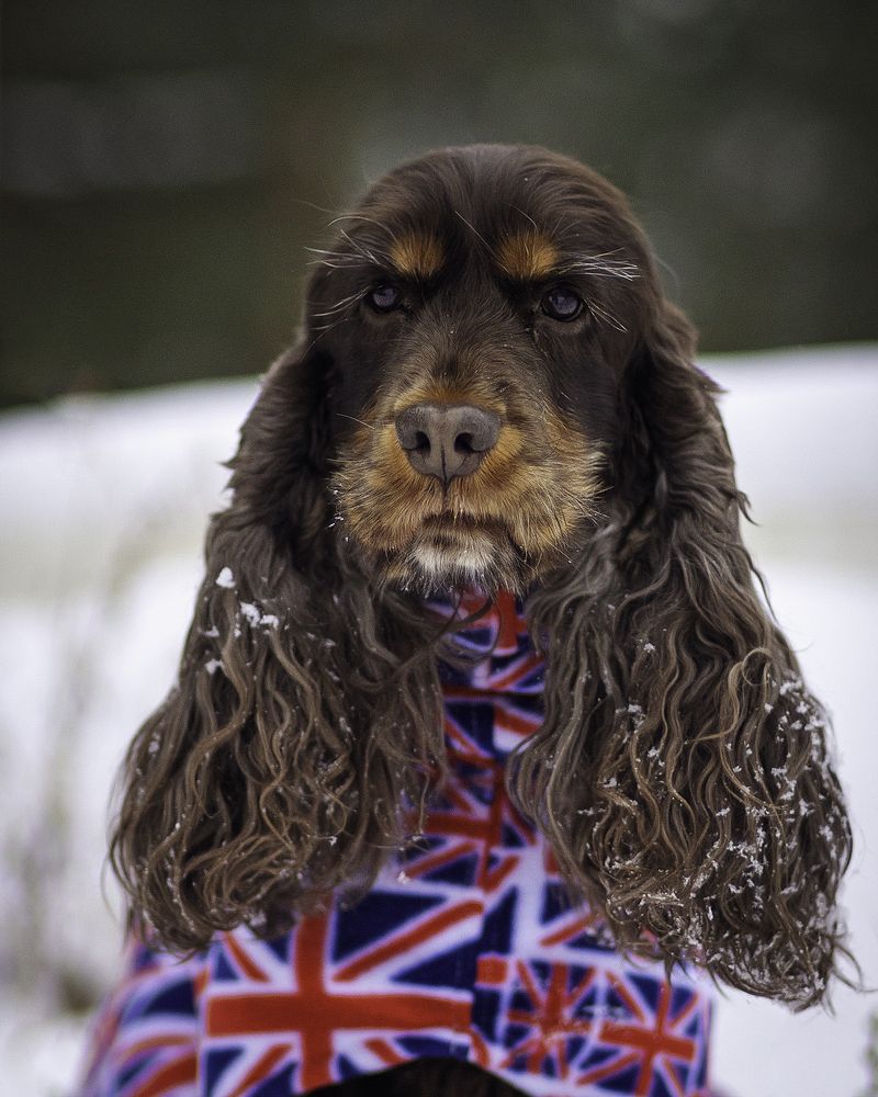 Photograph by Anna Sindikayeva