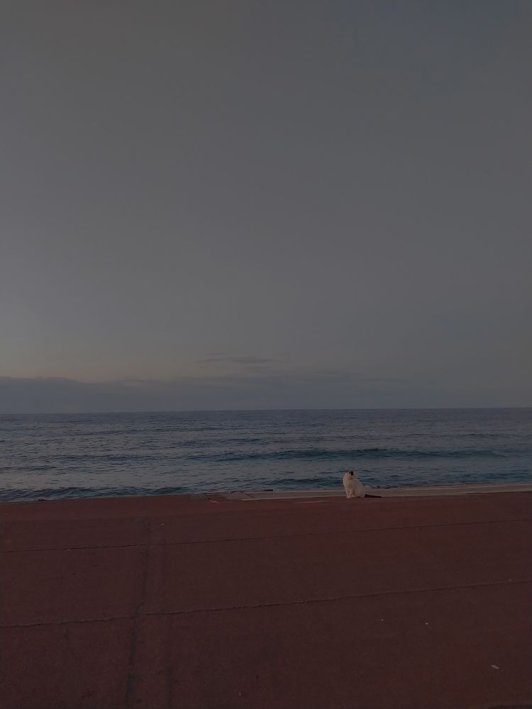 Фотография автора Mennatullah Dakhly