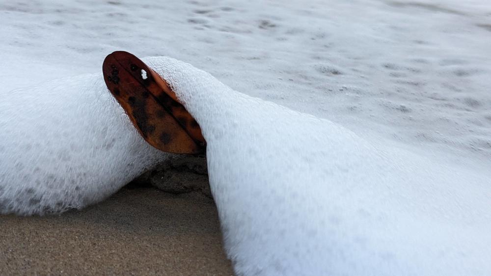 Фотография автора Ganesh Varma