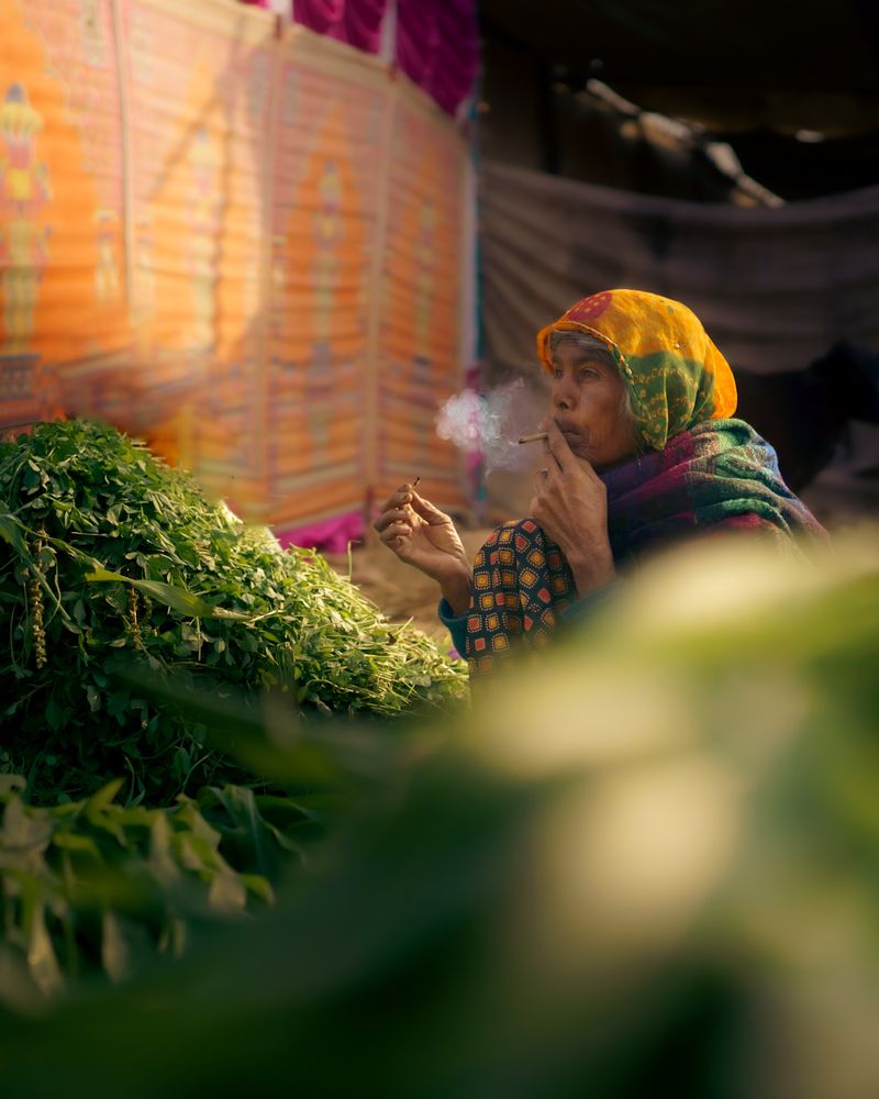 Фотография автора Kriti Kwatra