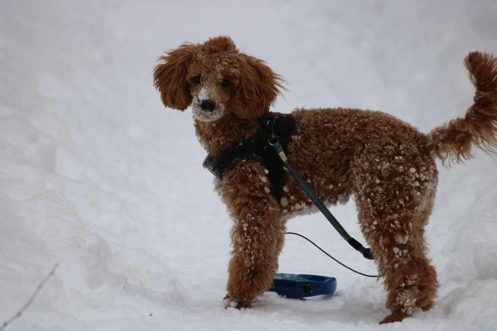 Photograph by Евгения Малафеева