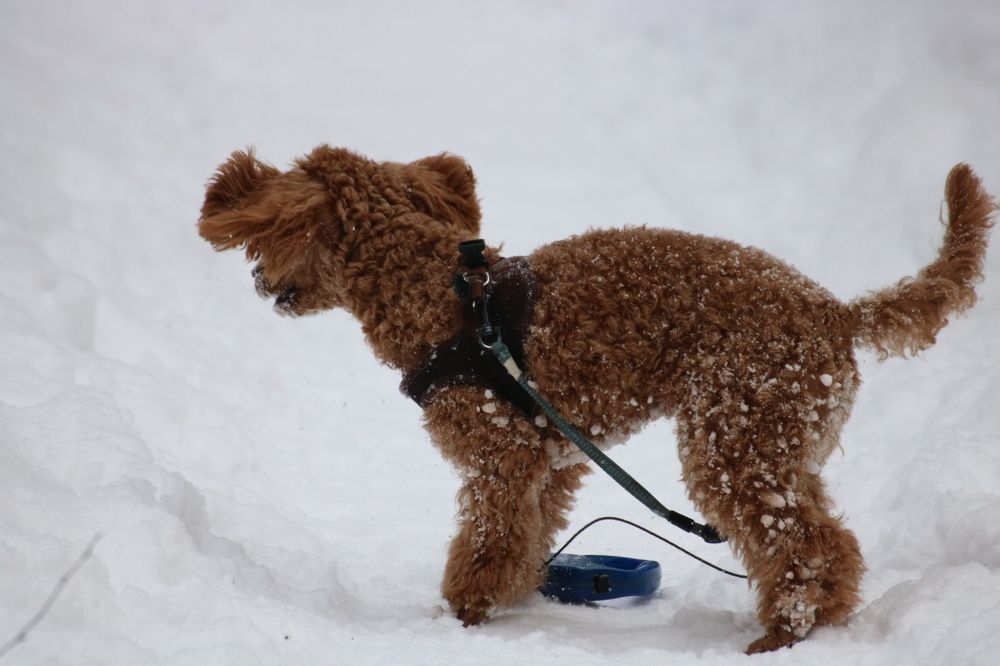 Photograph by Евгения Малафеева