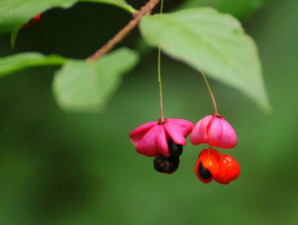 Photograph by Евгения Малафеева