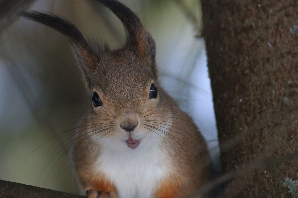 Photograph by Евгения Малафеева