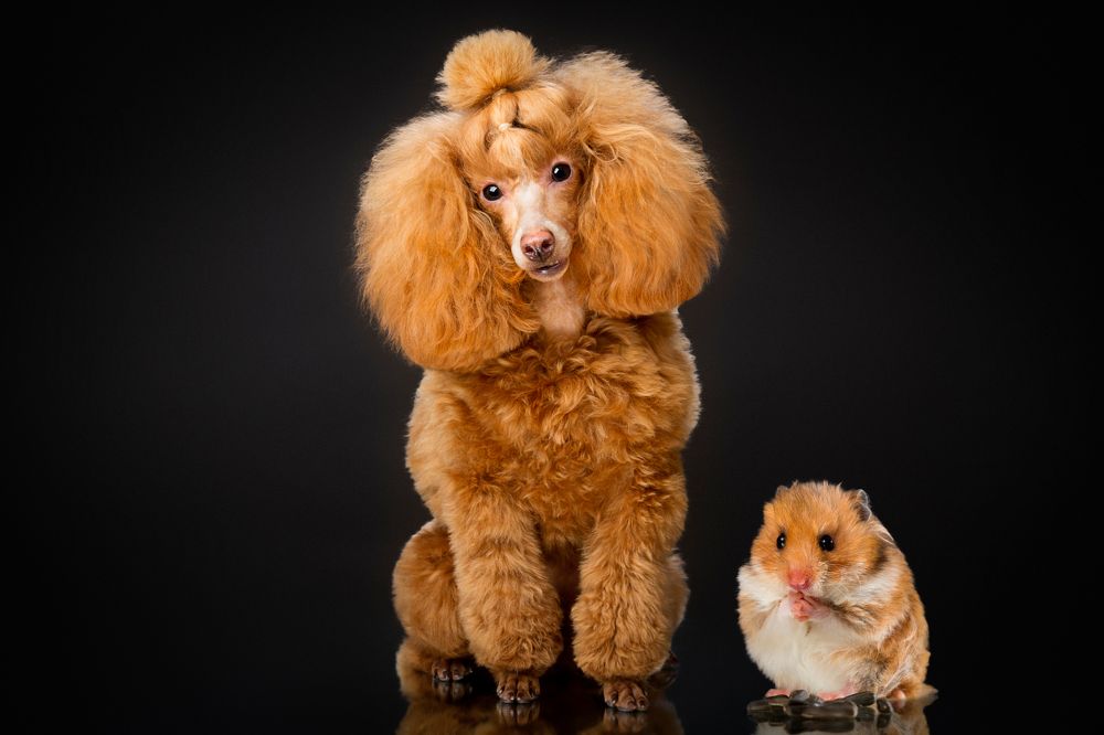 Фотография автора Ляйс Наталья