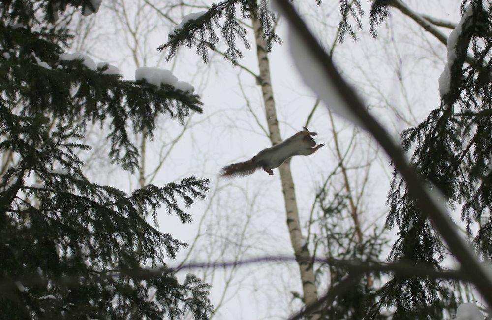 Photograph by Евгения Малафеева