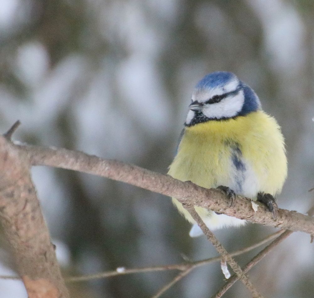 Photograph by Евгения Малафеева