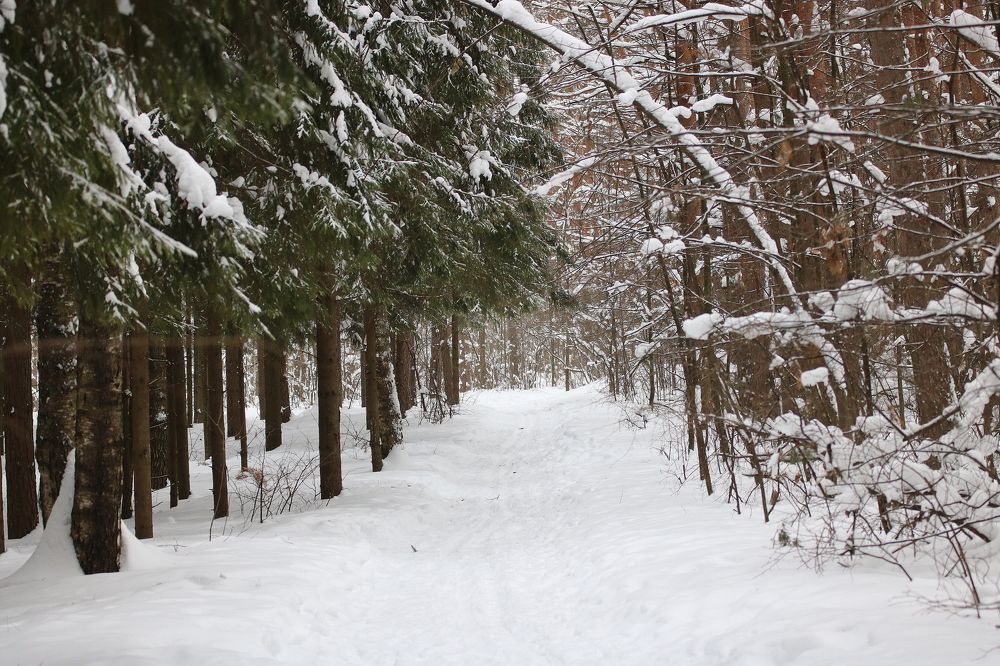 Photograph by Евгения Малафеева