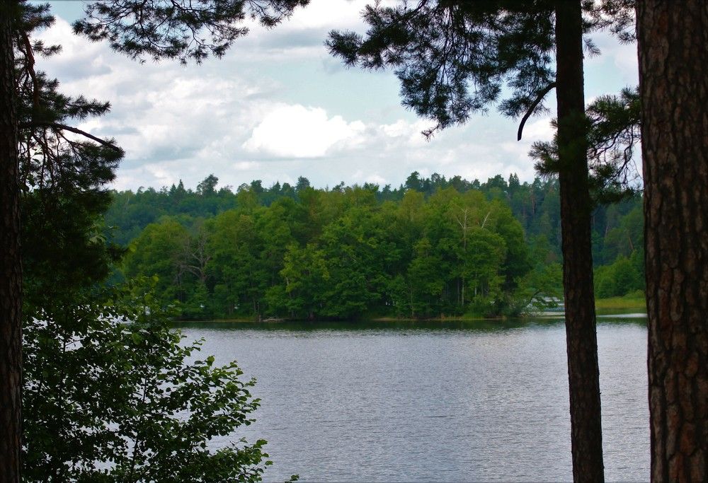 Photograph by Евгения Малафеева