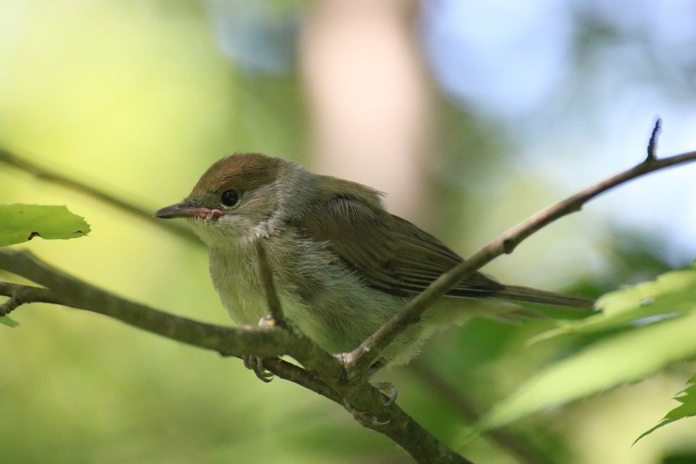 Photograph by Евгения Малафеева