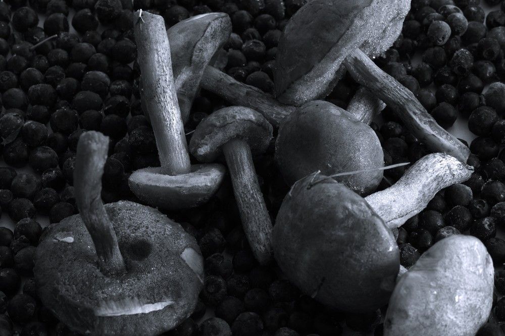 Photograph by Владимир Грибков