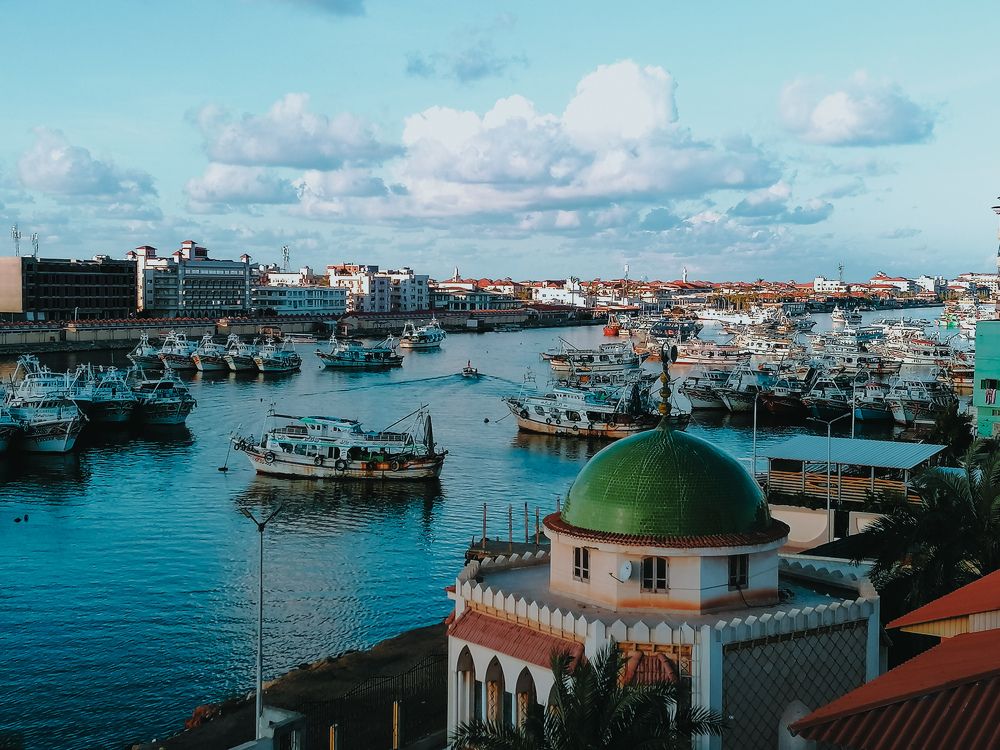 Photograph by Mohammed Halawa