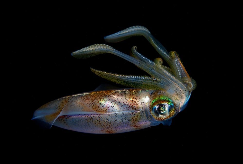 Photograph by Нарчук Андрей