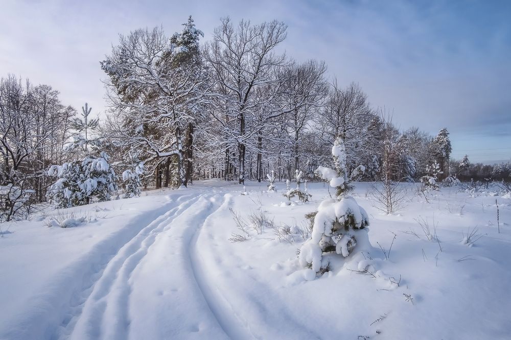 Photograph by Елена Ворошина