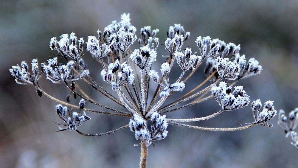 Photograph by Жанна Нечаева