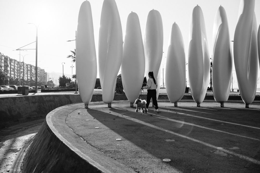 Photograph by Ирина Эрон