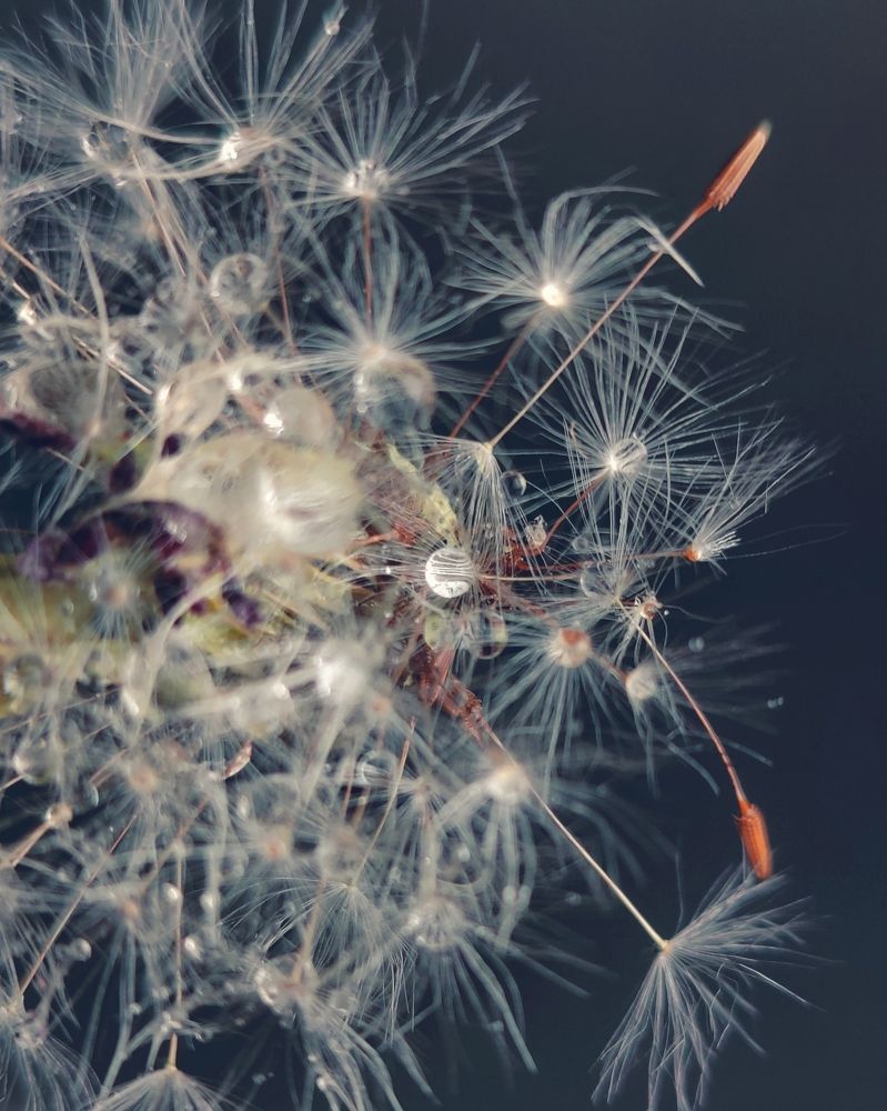 Photograph by Татьяна Гулакова