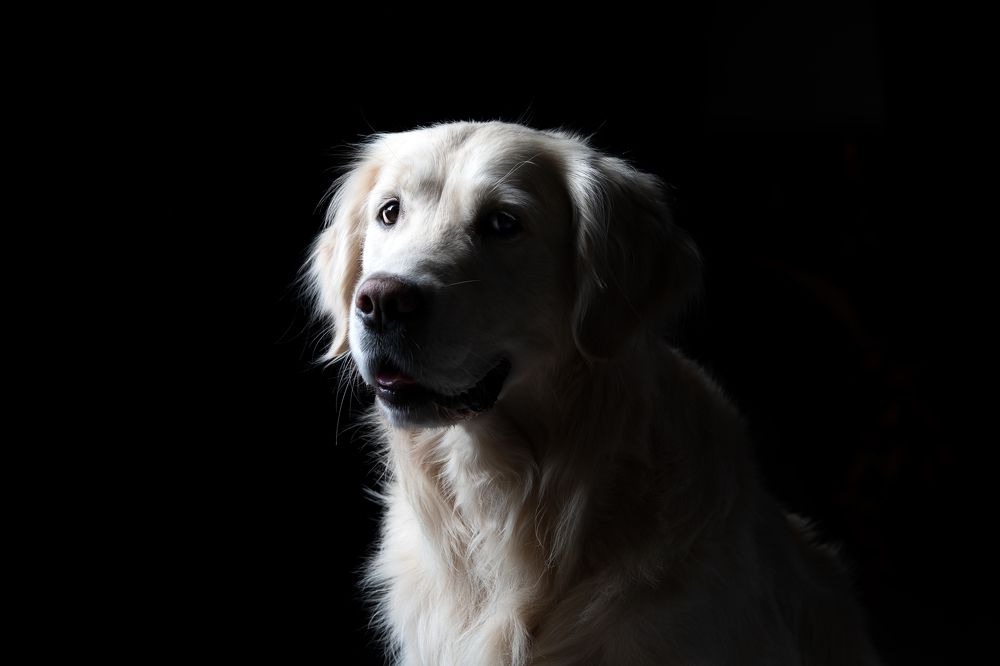 Фотография автора Ляйс Наталья