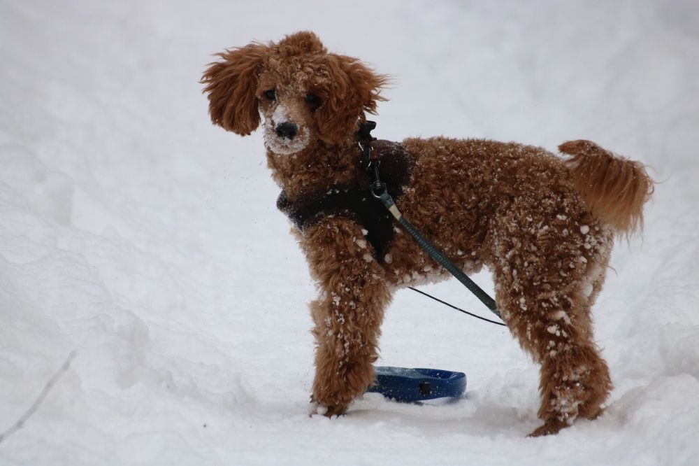 Photograph by Евгения Малафеева