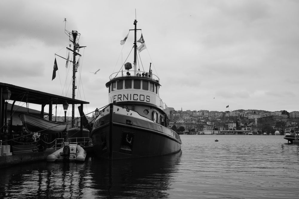 Фотография автора Владимир Хащанский