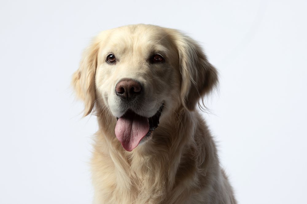 Фотография автора Ляйс Наталья