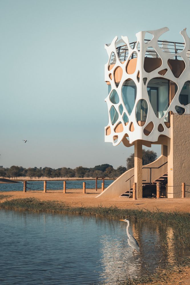 Photograph by Юлия Соболева