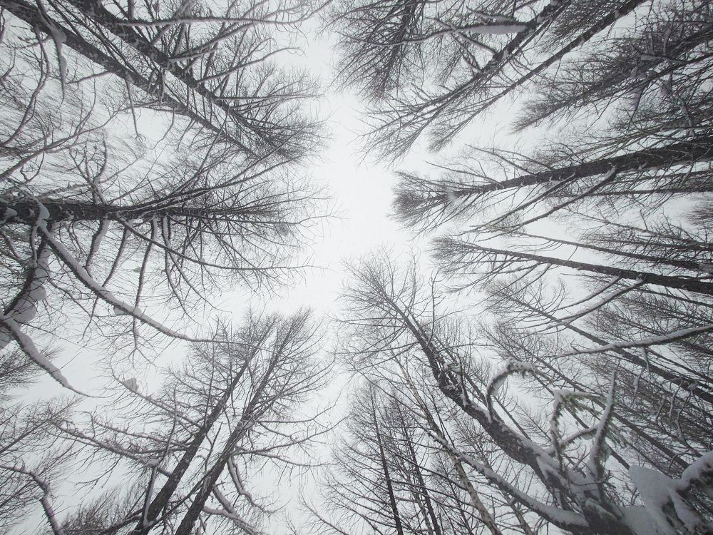 Photograph by Иван Нестеров