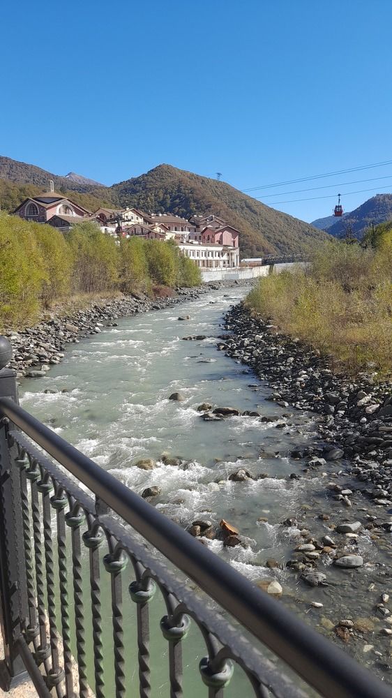 Photo #10385440