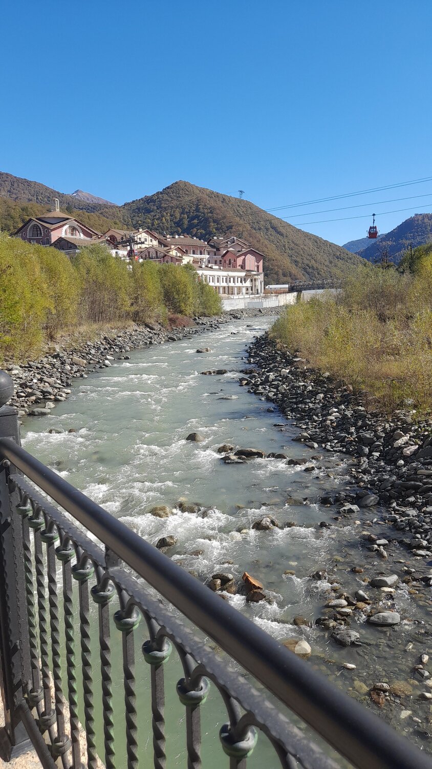 Photo #10385440