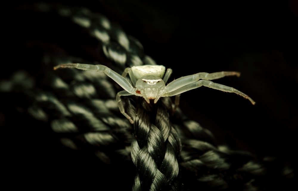 Photograph by Abhijit khatua