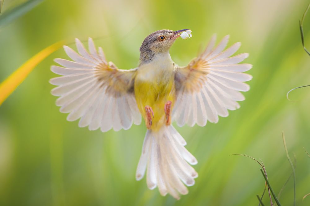 Photograph by Rin Võ