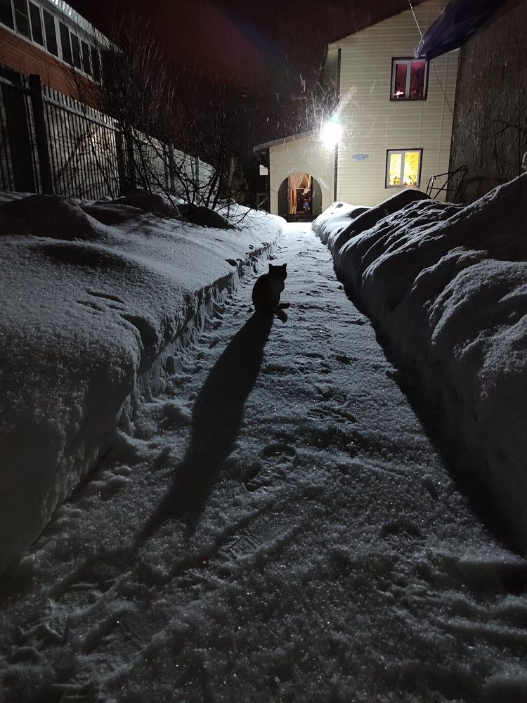 Photograph by Анастасия Романовская