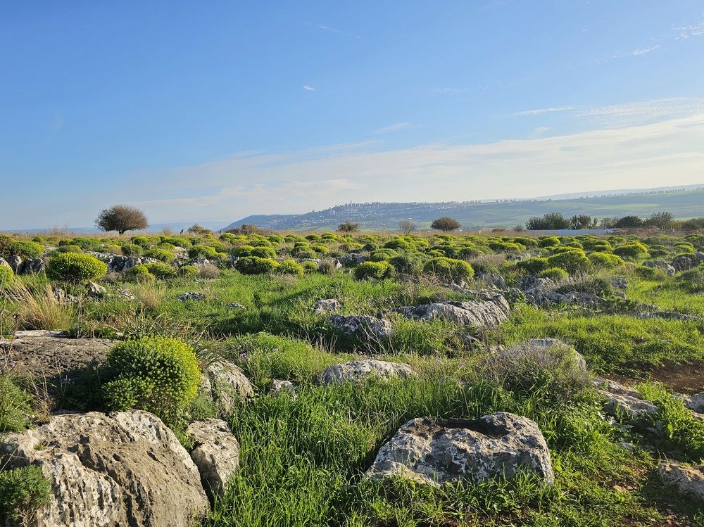 Photograph by Angelika Sokolova