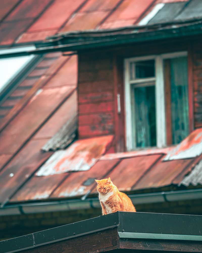 Фотография автора Артур Богородицкий