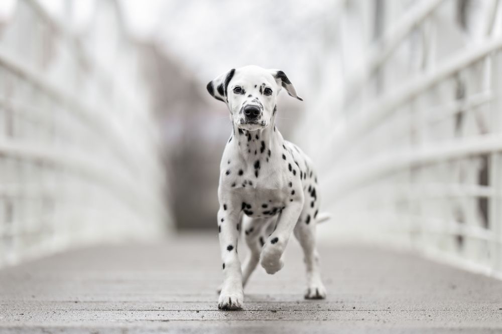 Photograph by Kristin Berthelmann