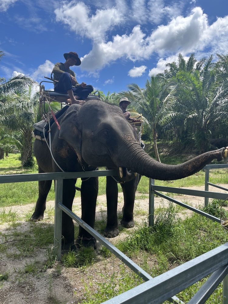 Photograph by Юлия Серова