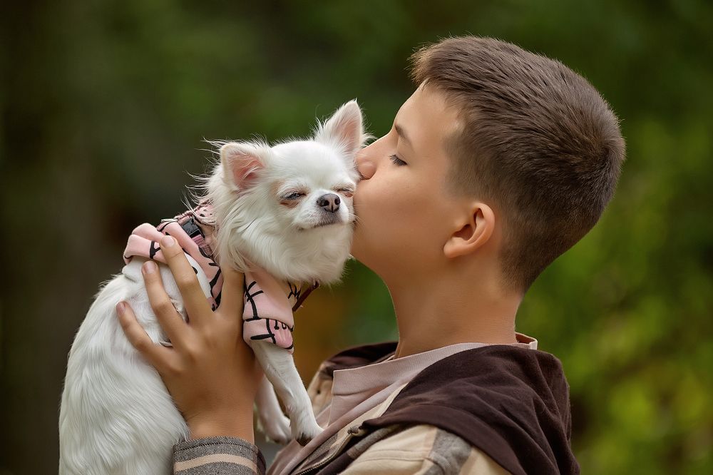 Photograph by Салина Ирина