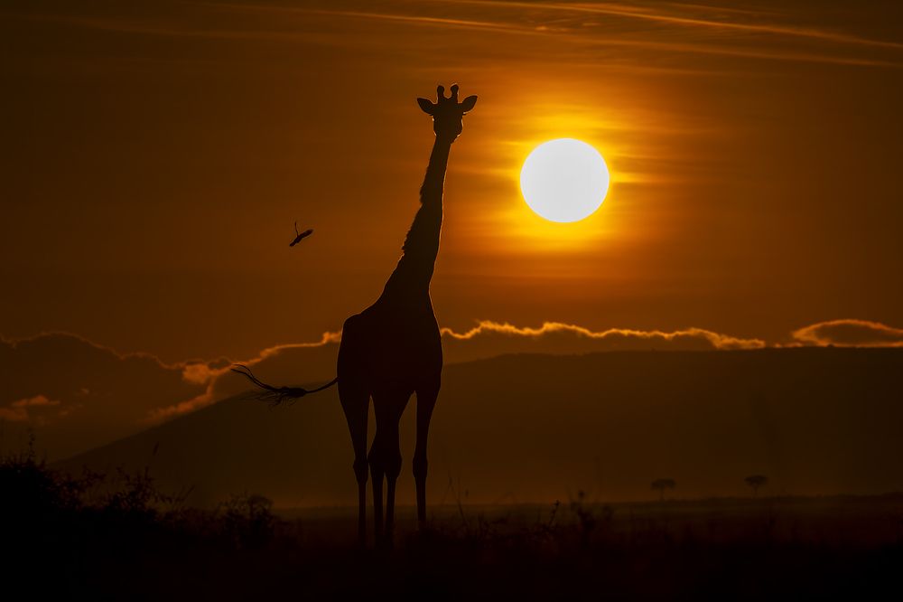 Photograph by Karthick Sridharan