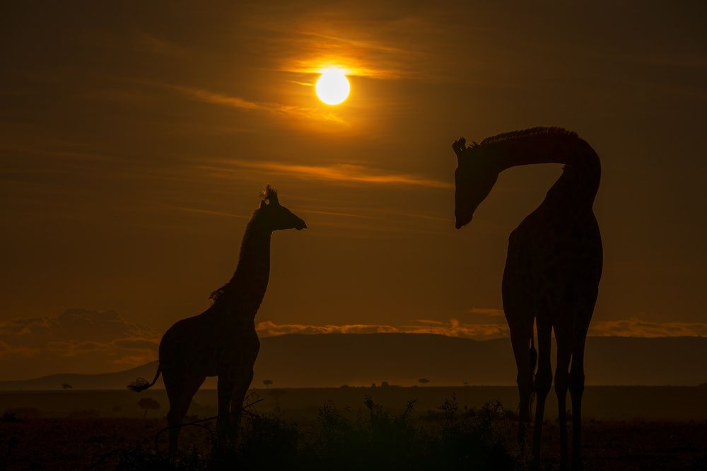 Photograph by Karthick Sridharan