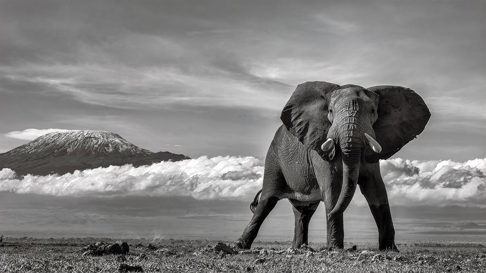 Photograph by Karthick Sridharan