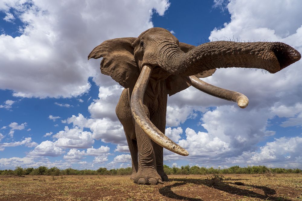 Photograph by Karthick Sridharan