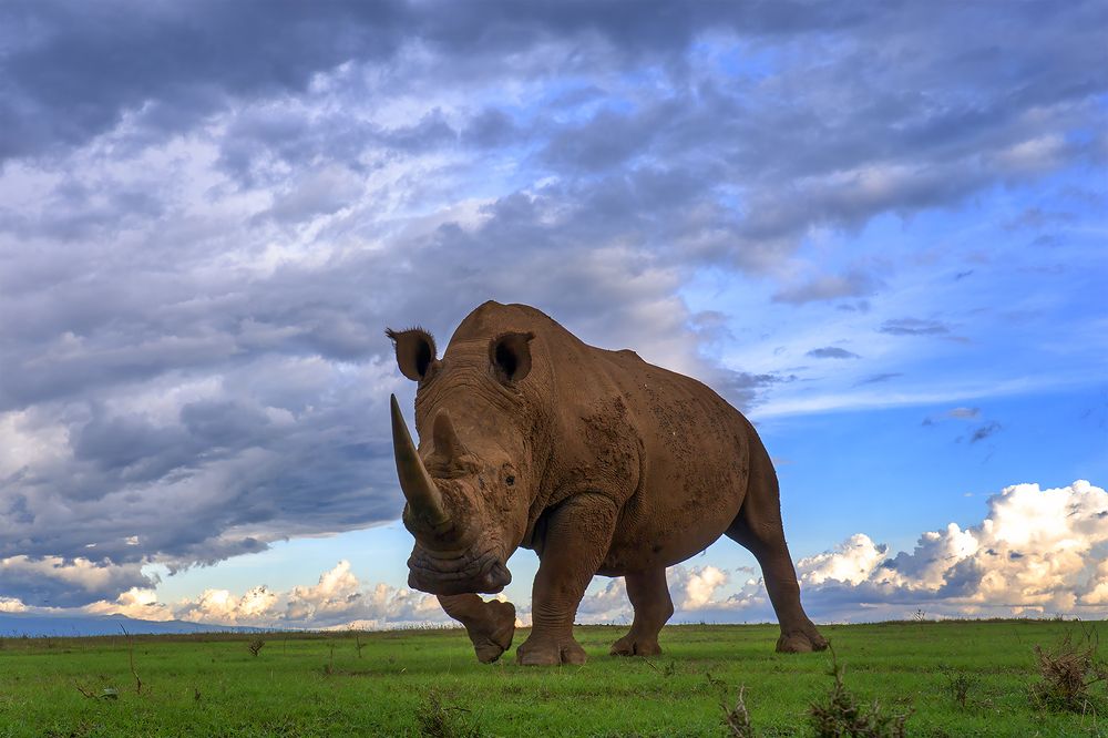 Photograph by Karthick Sridharan