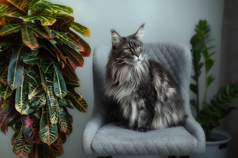 Photograph by Салина Ирина