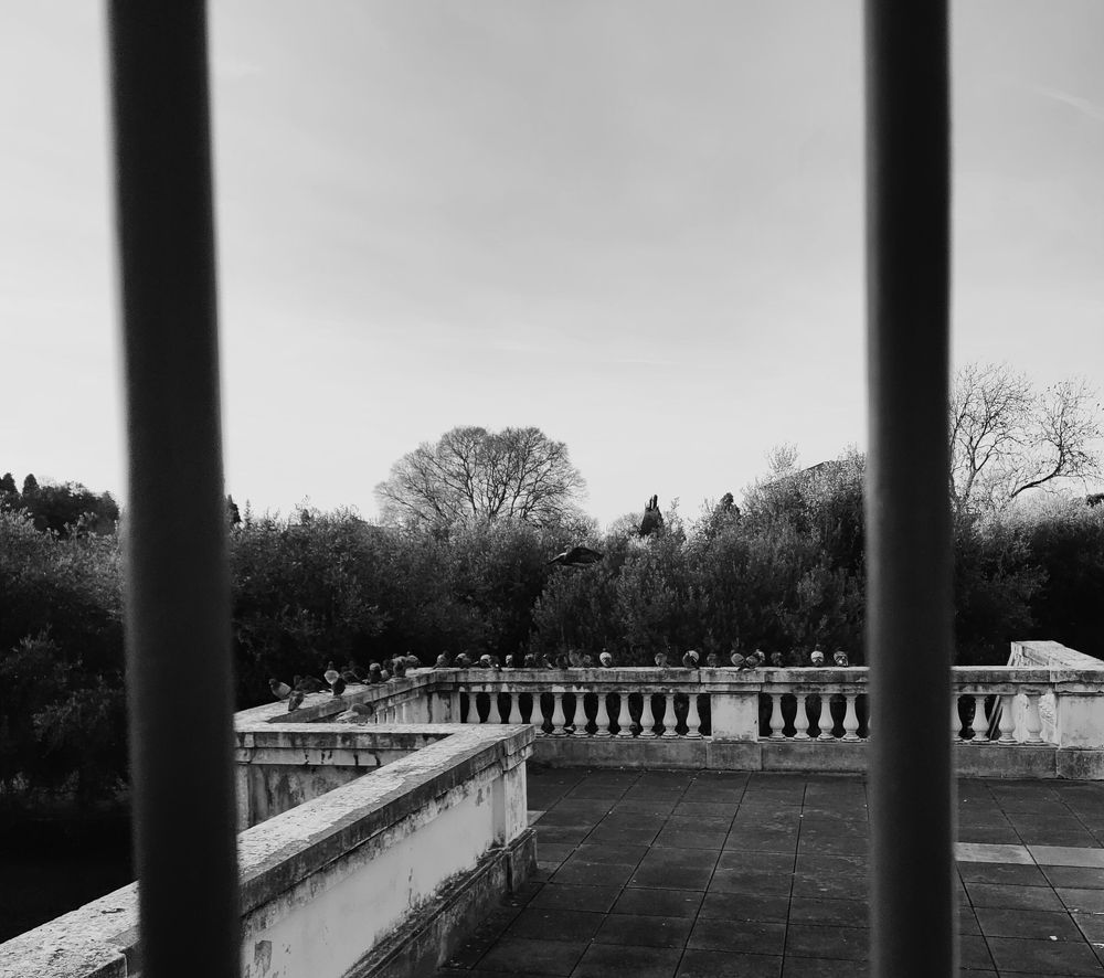 Photograph by Larisa Teshukova-Goretta