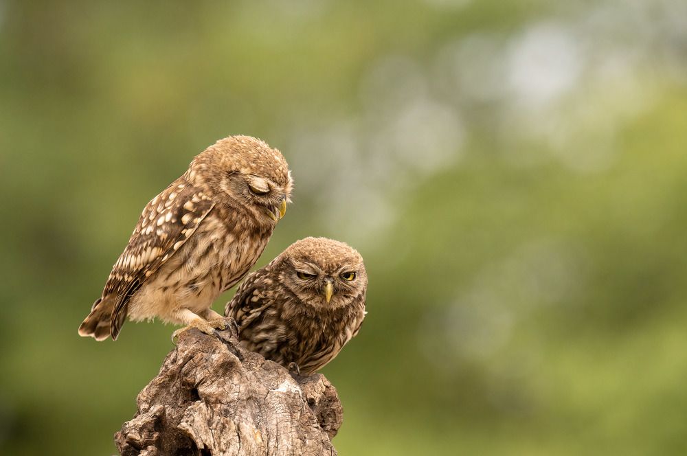 Photograph by Tímea Ambrus