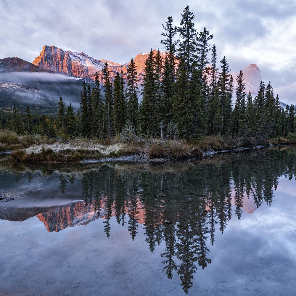 Photograph by Razvan Iliescu