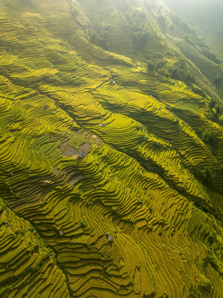 Autumn morning sunshine in Ngai Thau rice terraces field