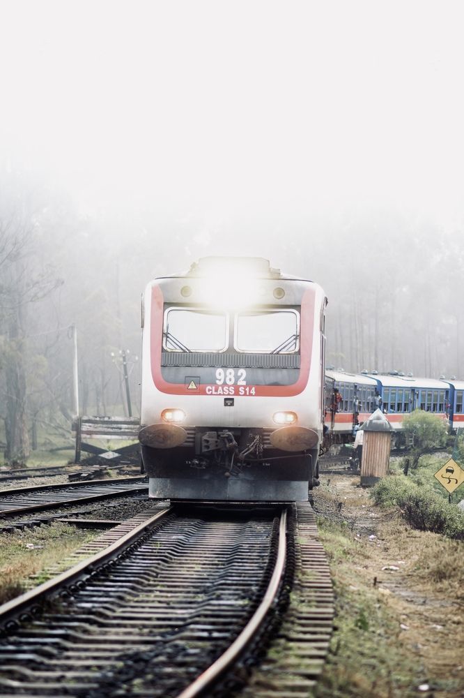 Photograph by masida paboth